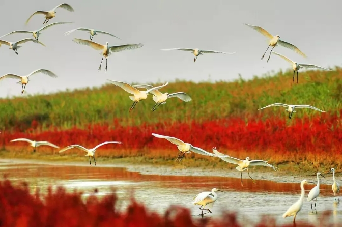 微信截图_20241126160502